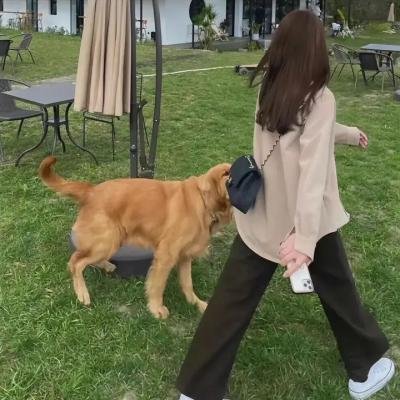 婢女